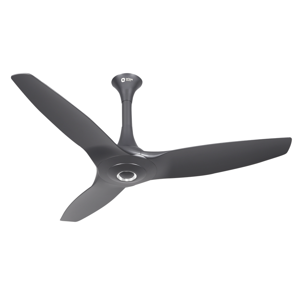 Aeroquiet BLDC Noiseless Ceiling Fan | 5 Years Warranty 1200mm Daytone Grey