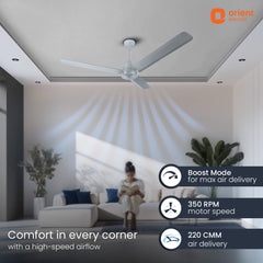 Ecotech Neu BLDC 5 Star Ceiling Fan | 3-Year Warranty 1200MM Glacier Grey