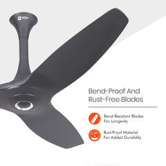 Aeroquiet BLDC Noiseless Ceiling Fan | 5 Years Warranty 1200mm Daytone Grey