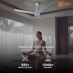 Ecotech Neu BLDC 5 Star Ceiling Fan | 3-Year Warranty 1200MM Glacier Grey