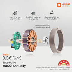 Aeroquiet Neu BLDC Pro Ceiling Fan | Whisper Quiet | Remote Controlled 1230MM White