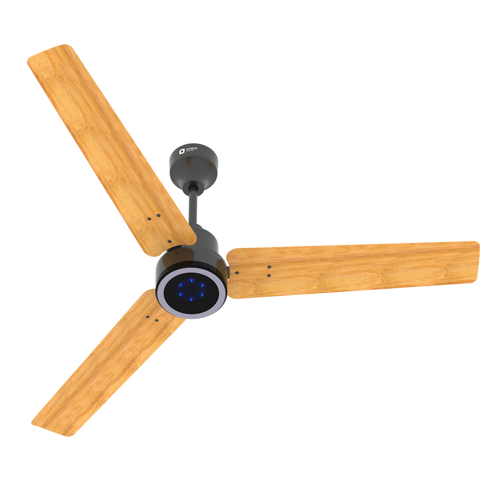 Ecotech Prime CX 5 Star BLDC Ceiling Fan 1200MM Oak Wood