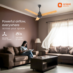 Ecotech Prime CX 5 Star BLDC Ceiling Fan 1200MM Oak Wood