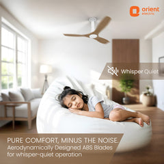 Aerosleek 5 Star Rated Premium BLDC Fan with Remote 1200MM White Honeymaple Wood