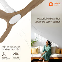 Aerosleek 5 Star Rated Premium BLDC Fan with Remote 1200MM White Honeymaple Wood