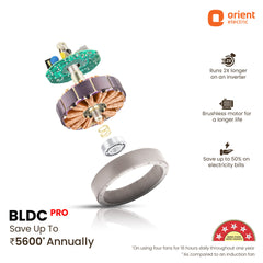 Aerosleek 5 Star Rated Premium BLDC Fan with Remote 1200MM White Honeymaple Wood