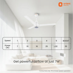 I Tome Pro BLDC Ceiling Fan 1400MM White