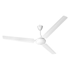 Drove Decorative Ceiling Fan