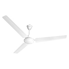 Drove Decorative Ceiling Fan