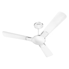 Enticer Decorative Ceiling Fan